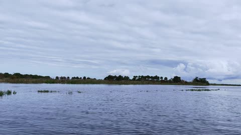 Sitting on Saint John's River