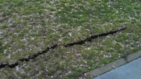 Crack in Earth Seems to Breathe After Earthquake