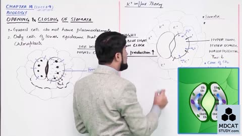 LEC#9 OPENING AND CLOSING OF STOMATA