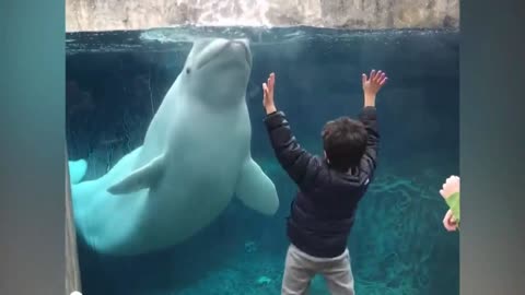 Kid's are scaredd! 😱 when they meet cute Sea animals