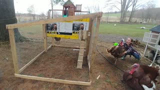 Cheep and easy Chicken grow coop