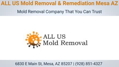 AL US Mold Removal Mesa AZ : Professional Solutions to Heal Your Home