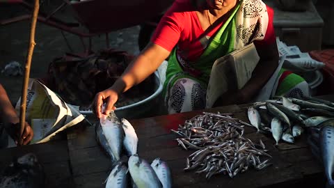 Indian Fish Market 🐟