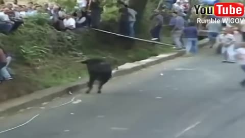Most Awesome Funny Crazy Bull fails. The best funny videos of 2021 the bullfighting festival