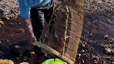 New Primitive Technology FISH TRAP With Fishing KR