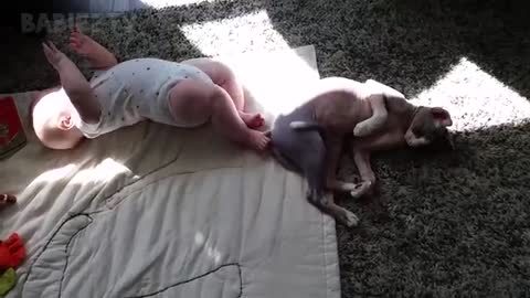 Adorable babies playing with animals