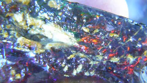 Black Virgin Valley Opal