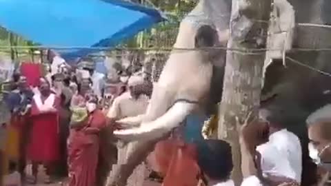 This elephant met his friend Mahout after his death at his house.very imotional video