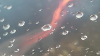 Live Footage Molten Earth Lava pouring out