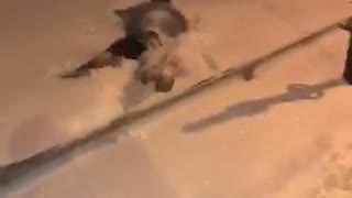 Guy blue jacket trips and falls into snow