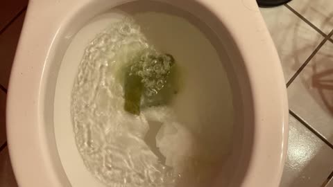 turd flush part 3