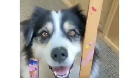 funny and cute dog painting a flower 😝 😜it is so cute and funny to watch 😂 🤣