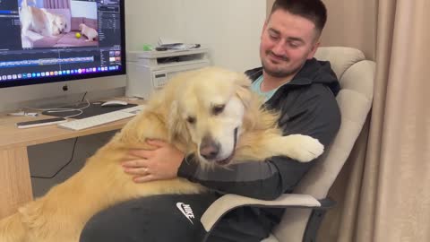 The Golden Retriever is like a human child who wants love and hugs!