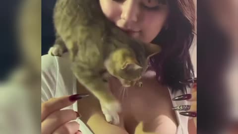 Cat with beautiful girl