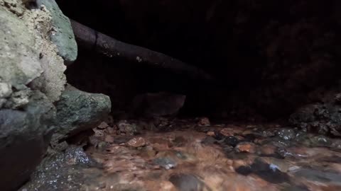 Flowing Water in the Eifel Aqueduct | 2000 Year Old Roman Aqueduct That Flowed to Cologne Germany!