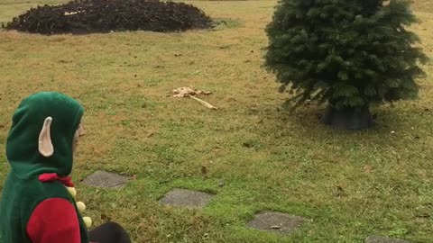 Music girl dressed as elf jumps onto fake christmas tree in yard