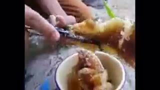 Honey Compilation | Wild honey harvesting | Satisfying videos