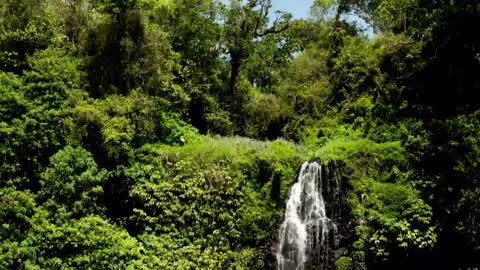 Drone Video: Amazing Waterfalls