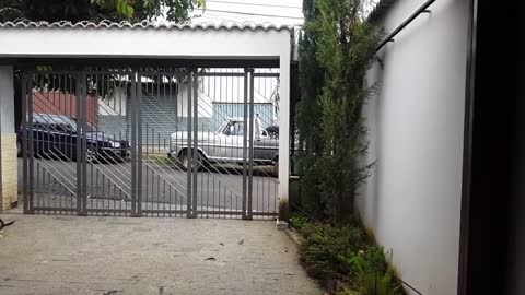Electronic articulated gate
