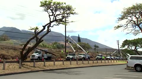 Maui's displaced anxious as fire recovery drags on