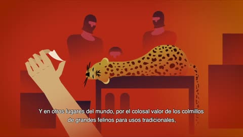 A USAID e a WWF na verdade faz o tráfico e prega proteção: USAID e WWF são ongs milicianas,Ameaças à vida selvagem: Traficantes da valiosa fauna.