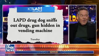 Greg Gutfeld:Fox News