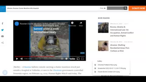 Ukraine False Flag Attacks: Are the National Militia Using Cluster Bombs To Terrorize Citizens?