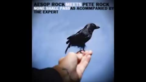 Aesop Rock Pete Rock - None Shall Pass The Expert Blend Full Album