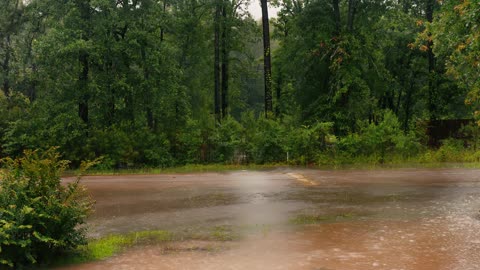 Homestead Flood - Daily (Draft Video Clips) - 20240517a