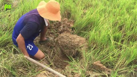 Wow! Smart Man Catch A Lot Of Crabs By Creative Deep Hole Crab Trap Using 6 Bamboo