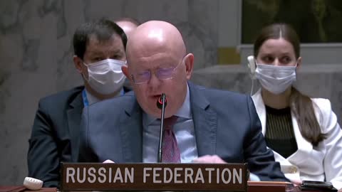 FULL VIDEO: Russian UN Rep at Security Council Exposing US and Ukraine Biolabs