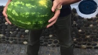 Group of teen guys sing while one cracks open watermelon with his head