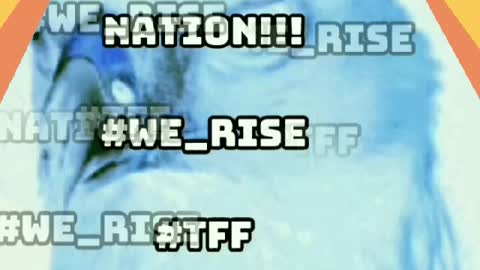 Atlanta Falcons##FALCONFAN4LIFE#TFF(True Falcons fan)#We_Rise#InBrotherhood