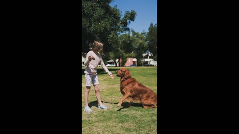 A boy playing with his Dog