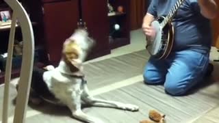 Singing Beagle