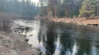 Hiking Shoreline of the Incredible Wild Metolius River – Central Oregon