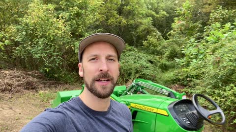 How To Split Hostas, Woodshed and More Tractor Fun | VLOG