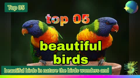 top 05 beautiful birds