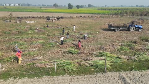 Life Of The Poor In Uttar Pradesh ¶ Village Life Of India Up ¶ Poor People Life In Farmer India