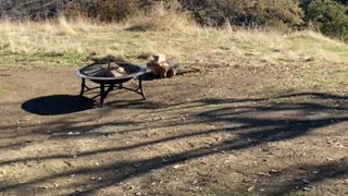 The Wishing Bench Campsite at Deer Ravine