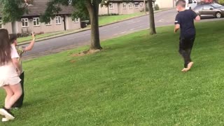 Cat chases drone