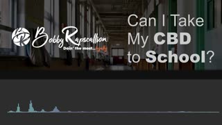 Bobby Rapscallion - Can I Take My CBD to School?
