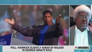 Triggered MSNBC guest claims that "[Herschel] Walker's going to do what he's told, and that's what Republicans like."