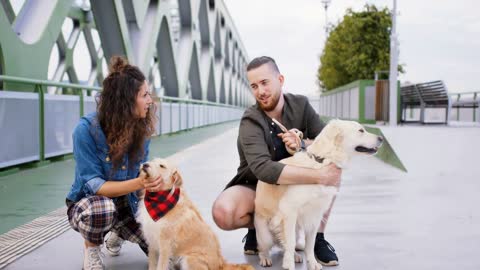 Portrait of cheerful man and woman with two pet dogs outdoors in city, talking