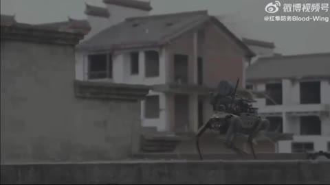 Chinese robot attack dog with machine gun dropped by drone