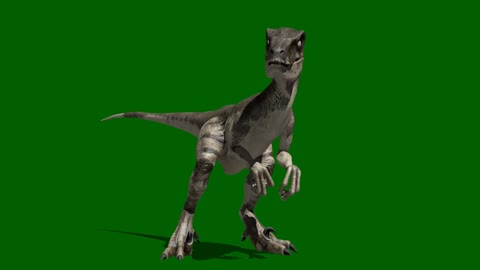 Small dinosaur roaring carnivore keying show composite video