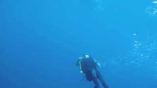 Fun diving