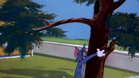 best funny movie catoon tom and jerry #12