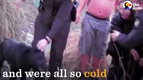 Rescuers Fall Through Ice Trying to Save Dog