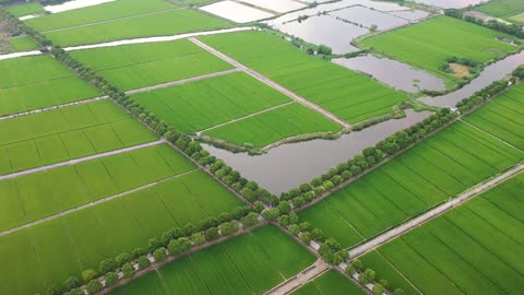 The square and green farmland is the result of the farmer's uncle